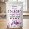 Multi Collagen Peptides Types I Ii Iii I